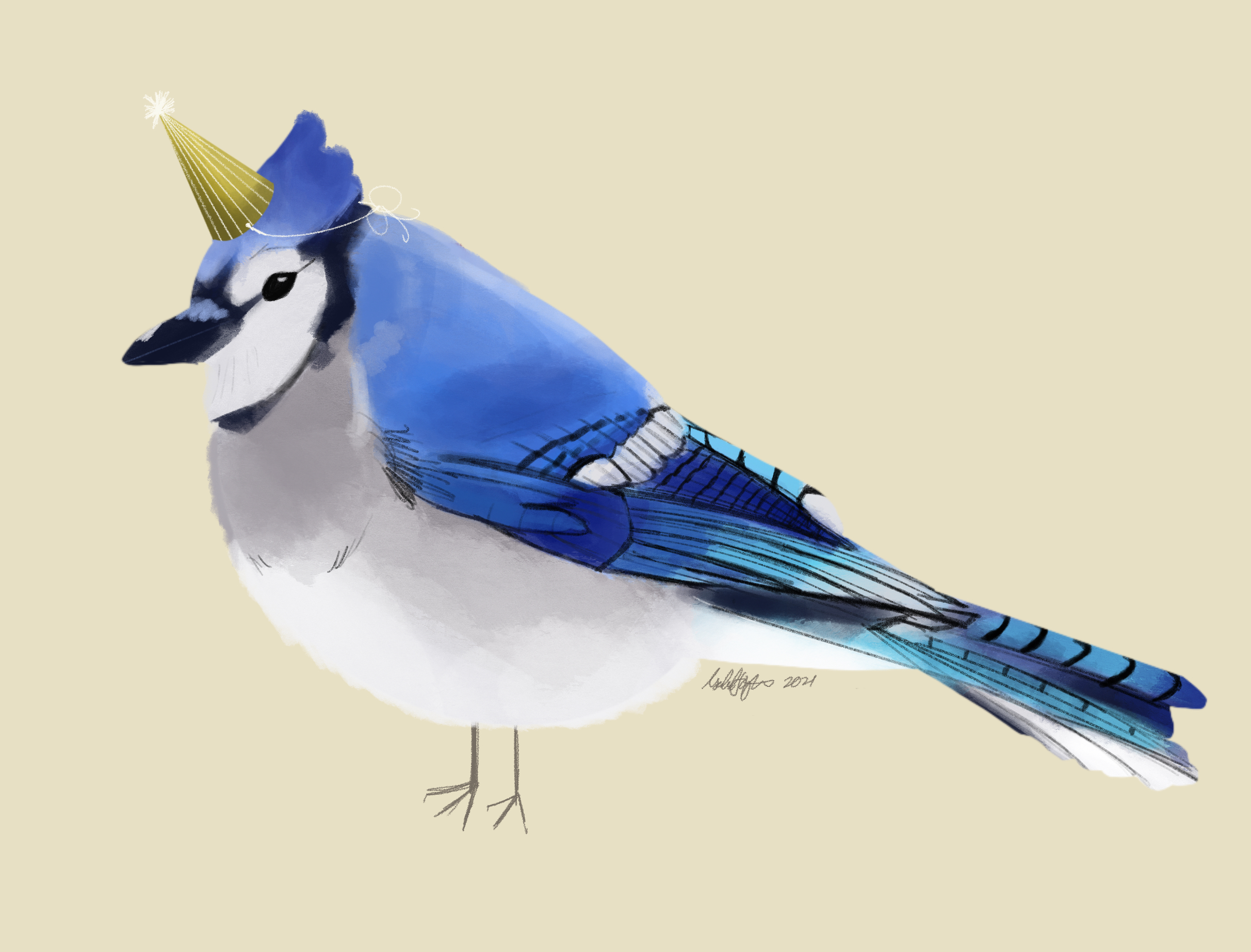 Party_BlueJay