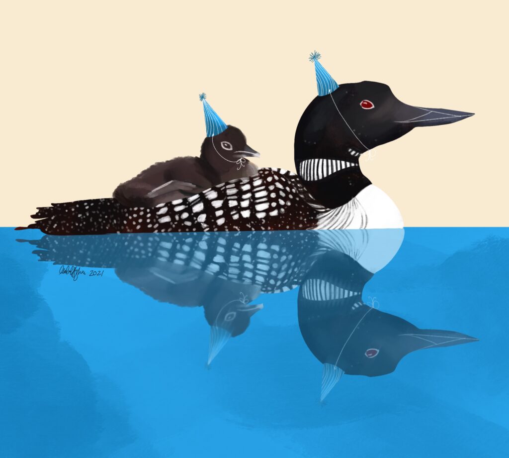A digital illustration of a Common Loon floating on serene water with its loonling on its back. Both are wearing blue party hats. Their image is reflected off the surface of the water.